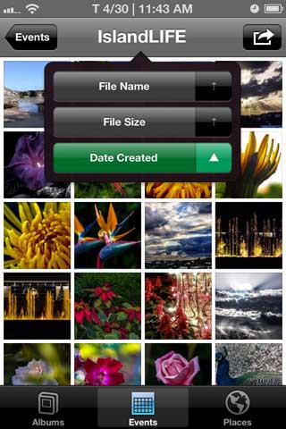 اداة Photo Organizer Pro