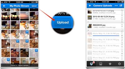 Dropbox  3.jpg