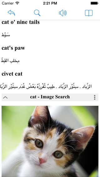تطبيق Arabic English Dictionary قاموس عربي إنجليزي