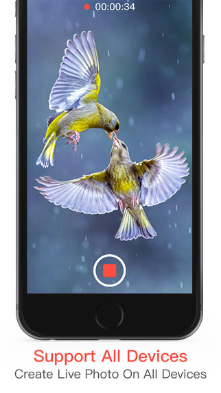 تطبيق Live Pic Maker لتحويل الصور أو فيديو إلى Gif أو صورة متحركة