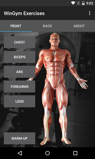 تطبيق WinGym Exercises مدربك لبناء العضلات
