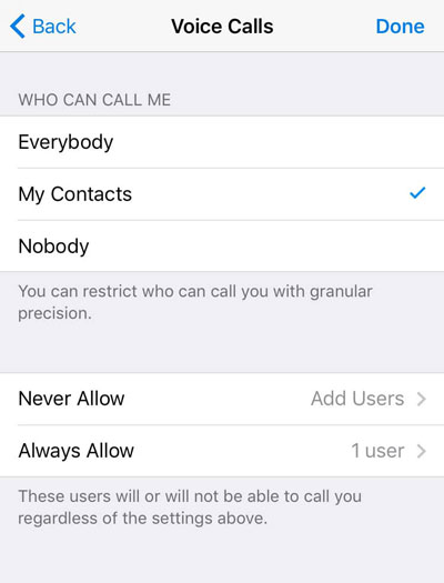 رسميا: تطبيق الدردشة تيليغرام يدعم المكالمات الصوتية