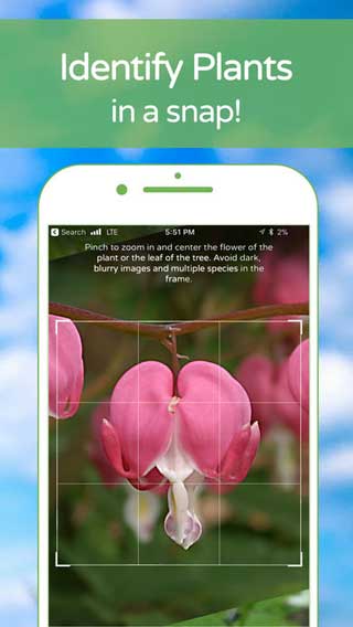 تطبيق PlantSnap للتعرف على أسماء وأنواع النباتات فقط بالكاميرا !