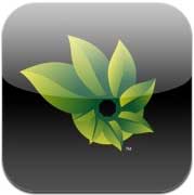 Photosynth