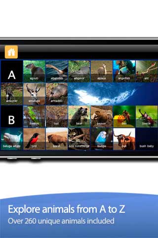 تطبيق Mini Adventures تطبيق Mini Adventures