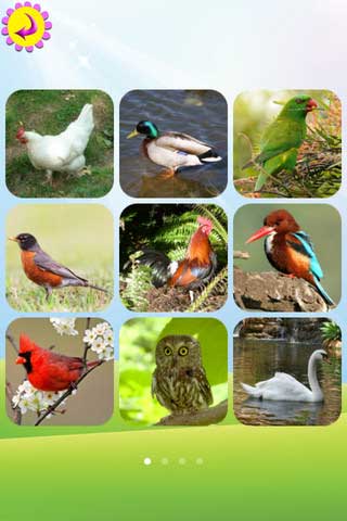 تطبيق Birds Book تطبيق Birds Book