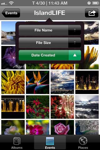 السيديا Photo Organizer Pro أداة رائعة لترتيب البوم الصور اخبار التطبيقات والتقنية