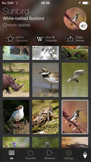 تطبيق Animal Explorer: موسوعة علمية بصور وأصوات الحيوانات