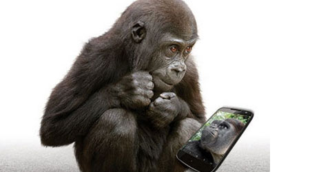 كل ما تود معرفته حول زجاج الحماية Corning Gorilla Glass 5 الجديد!