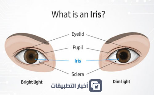 تحت المجهر - ماسح القزحية Iris Scanner في هاتف Galaxy Note 7 !