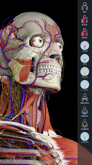 عرض تخفيضي على تطبيق Essential Anatomy 5 للمتخصصين في الطب