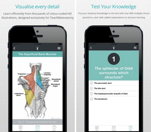 تطبيق Teach Me Anatomy للتعرف على أعضاء الجسم