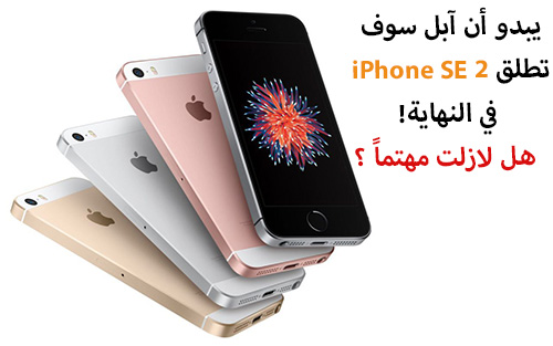 يبدو أن آبل سوف تطلق iPhone SE 2 في النهاية - هل لازلت مهتماً ؟