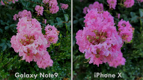 مقارنة الكاميرا - جالكسي نوت 9 ضد آيفون X