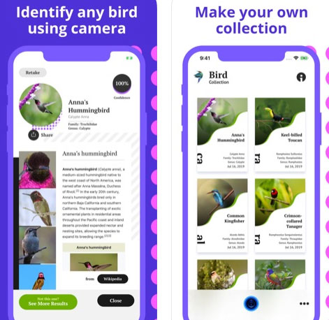 تطبيق Bird Identification للتعرف على الطيور