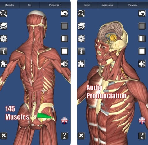 تطبيق 3D Anatomy لتعلم لتشريح