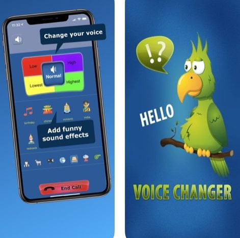 Call voice changer