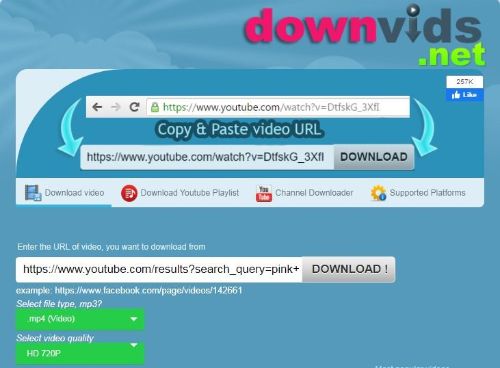 DownVids Site