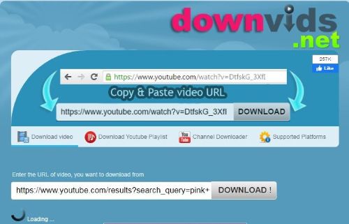 DownVids Site