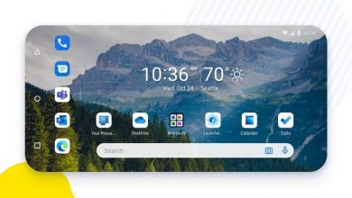 Microsoft Launcher Preview-Fet