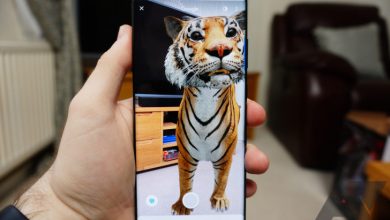 3D Animals AR