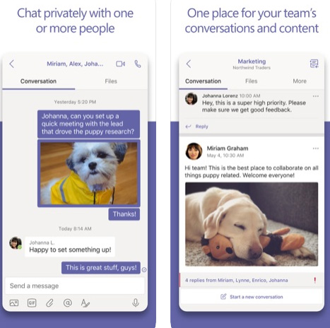 تطبيق Microsoft Teams لفرق العمل