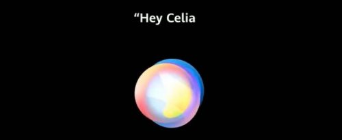 Celia