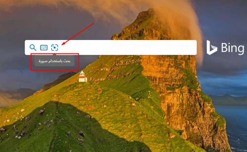 العثور على الصور بواسطة بينغ