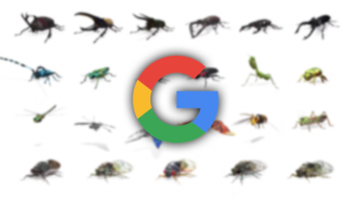 جوجل تتيح لك مشاهدة الحشرات بالحجم الحقيقي بالواقع المعزز من خلال AR Animals