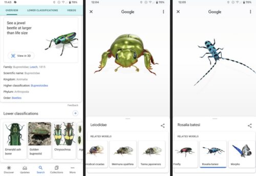 جوجل تتيح لك مشاهدة الحشرات بالحجم الحقيقي بالواقع المعزز من خلال AR Animals