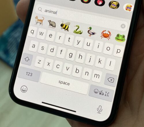 تحديث iOS 14 - كيفية البحث عن الوجوه التعبيرية "الإيموجي" بسهولة عبر لوحة المفاتيح! 