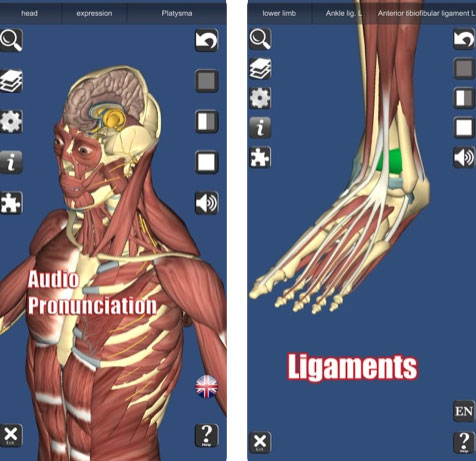 تطبيق 3D Anatomy - تشريح الجسم البشري