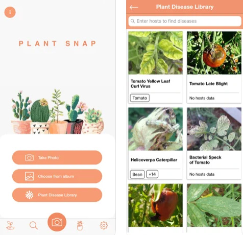 تطبيق PlantDetect للتعرف على النباتات