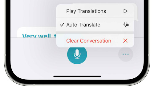 iOS 15 Translate Auto Translation