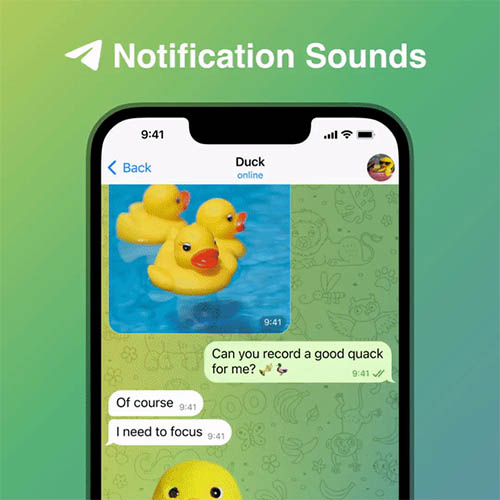 من بينها تخصيص صوت الإشعارات - تعرف على المزايا الجديدة التي طالت تطبيق تيليجرام!
